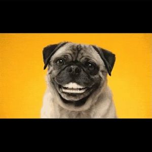 Meet your Posher, Kimberley